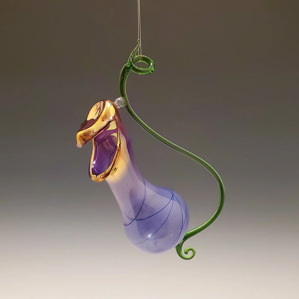 Hyacinth Pitcher Plant Vase