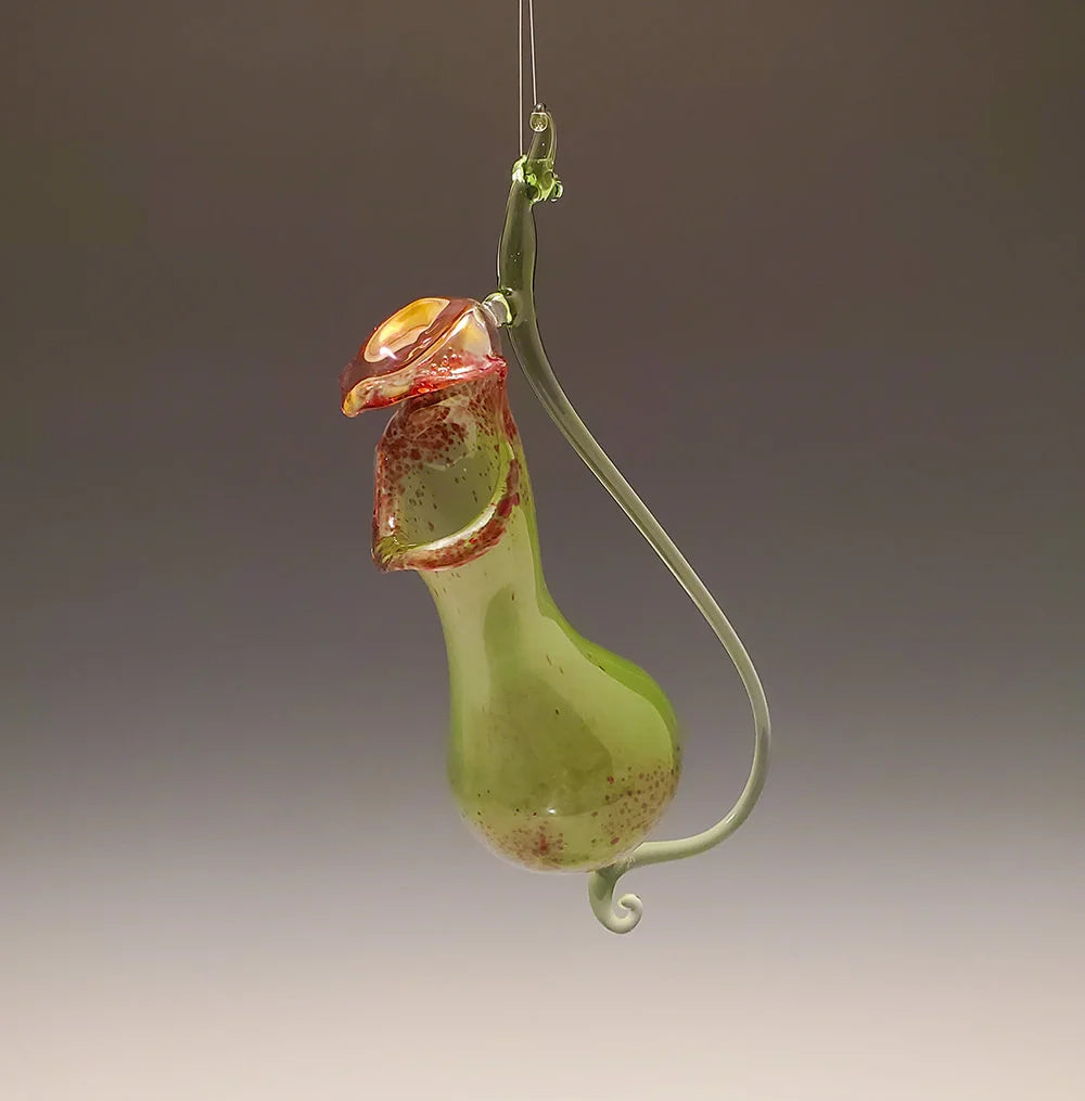 Green Red Pitcher Plant Vase