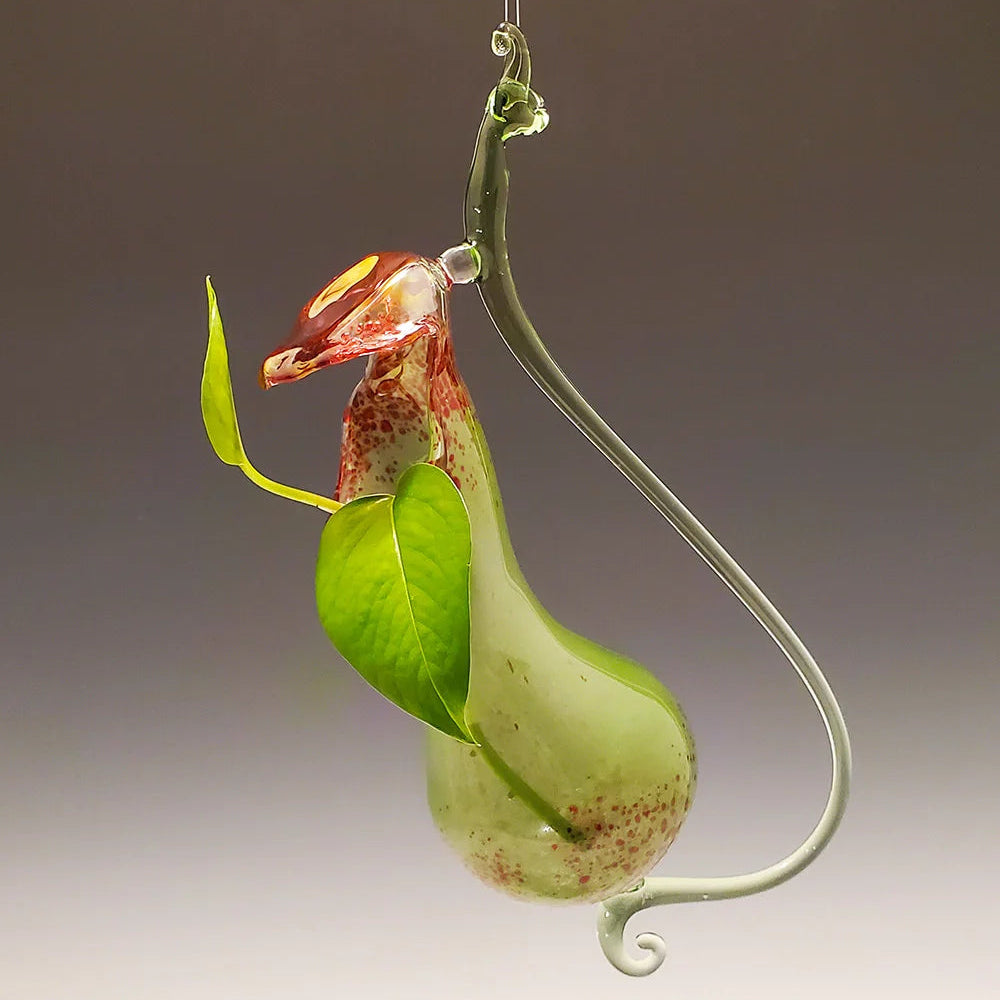 Green Red Pitcher Plant Vase