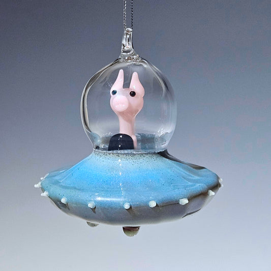 Pig in Space