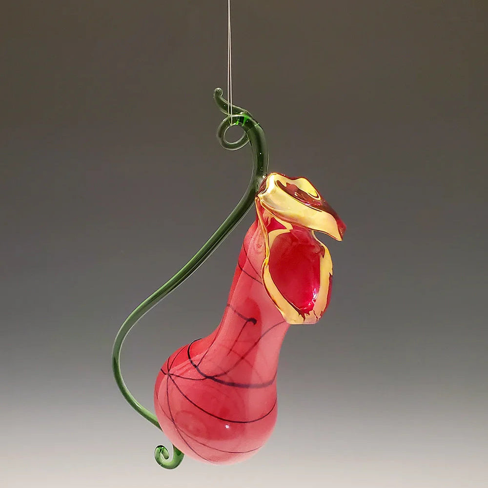 Rose Pitcher Plant Vase