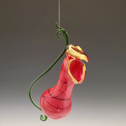 Rose Pitcher Plant Vase