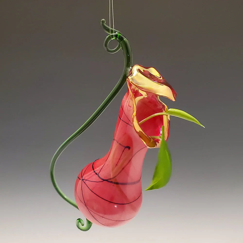 Rose Pitcher Plant Vase
