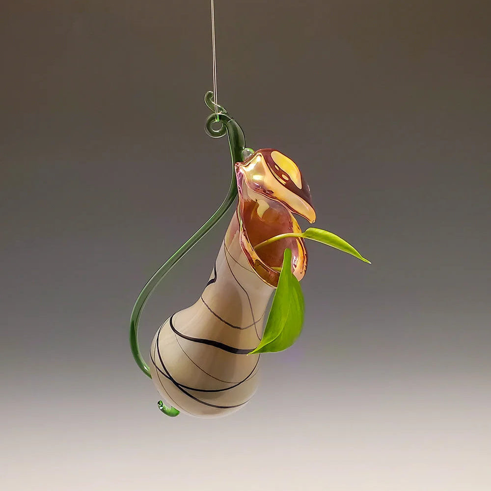 Sandstone Grey Pitcher Plant Vase